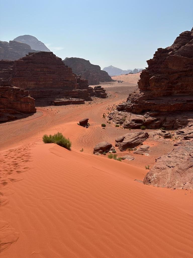 Bedouin Holidays Camp And Jeep Tours Wadi Rum Buitenkant foto