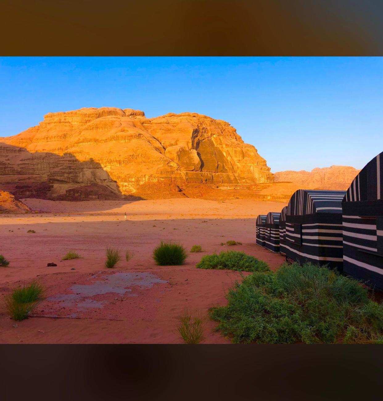 Bedouin Holidays Camp And Jeep Tours Wadi Rum Buitenkant foto