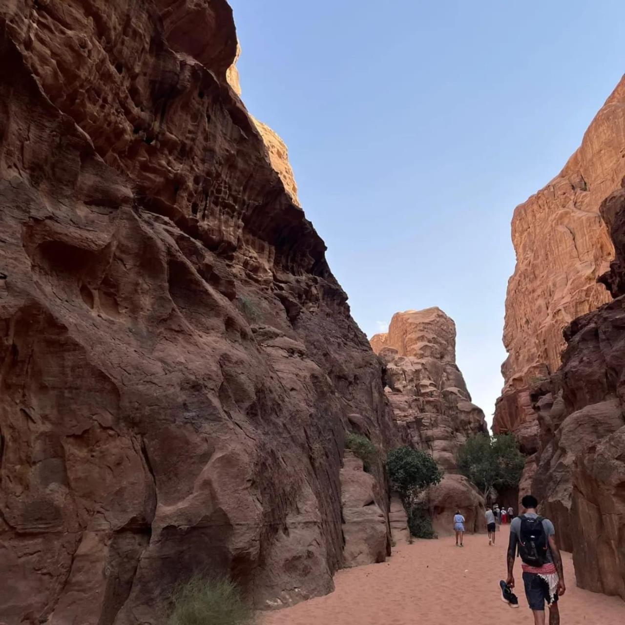Bedouin Holidays Camp And Jeep Tours Wadi Rum Buitenkant foto